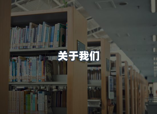 专业团队